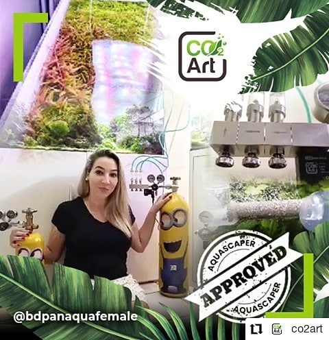 Instagram-innlegg av @bdpanaquafemale