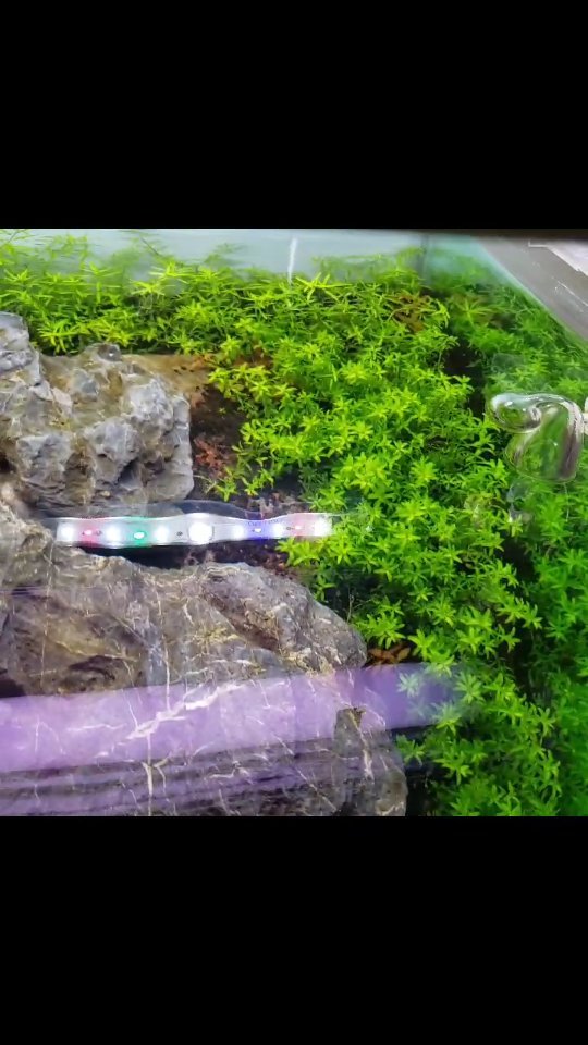 Instagram post by @bdpanaquafemale