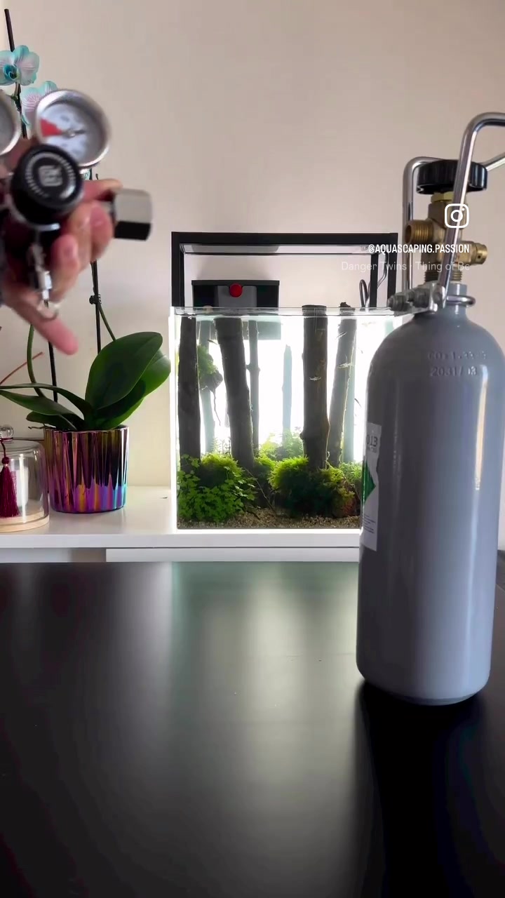 TikTok-video av @aquascaping.passion